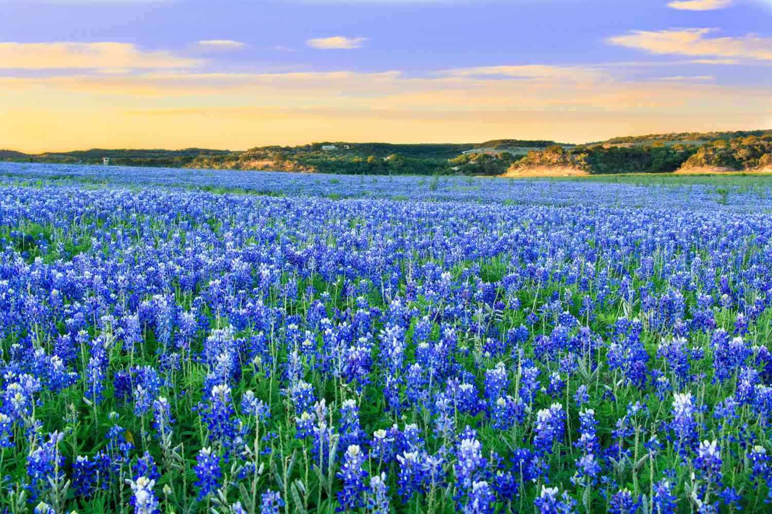 Weekly Market Commentary April 24, 2023
