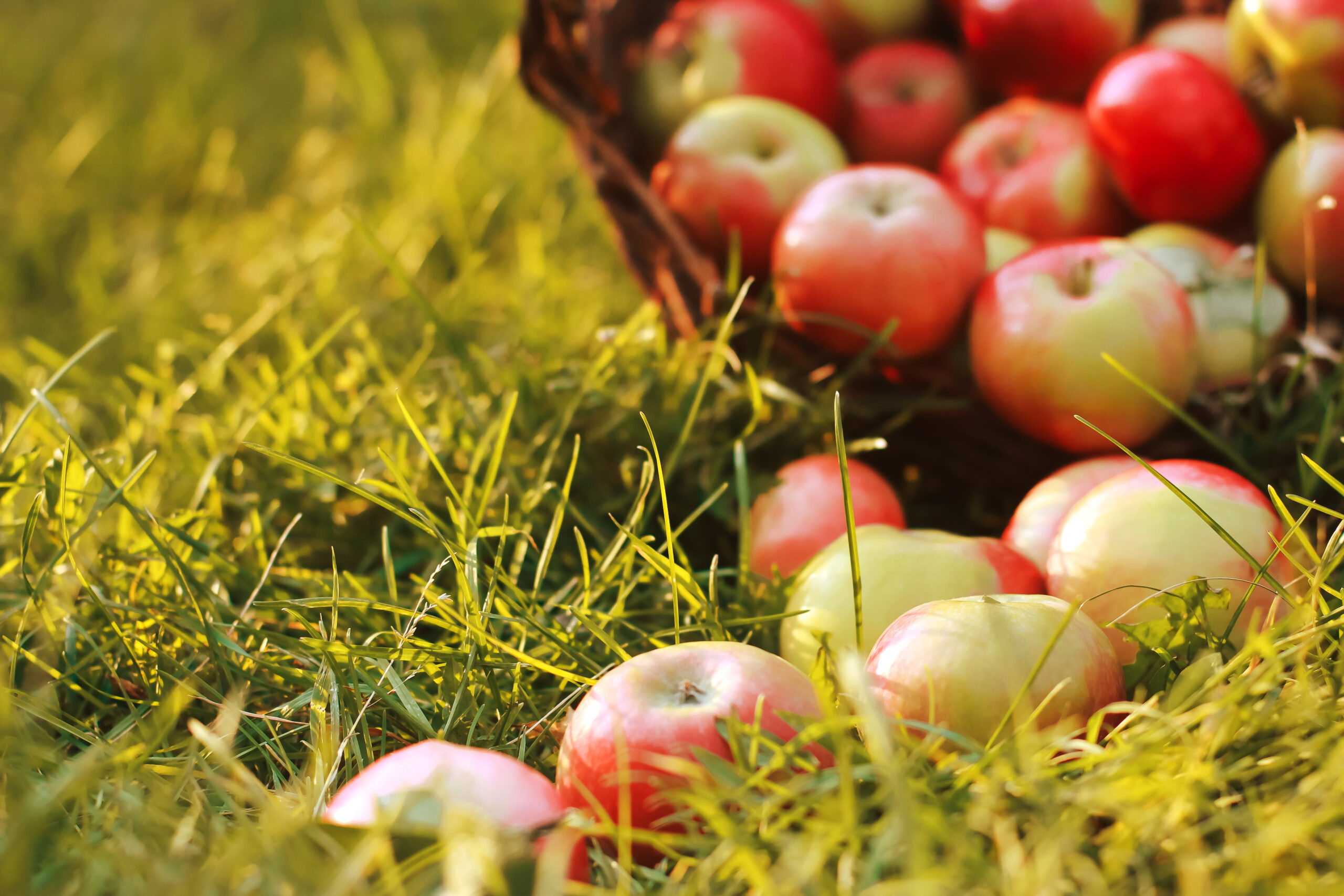 Market Commentary September 15, 2025